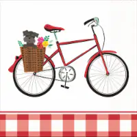 Unique Industries Gingham Lunch Paper Napkins 16 ct
