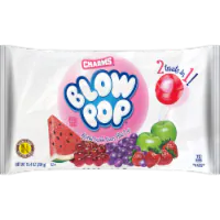 Blow Pop® Assorted Bubble Gum Filled Pops Candy Bag 10.4 oz