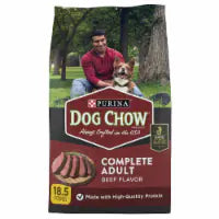 Purina Dog Chow Complete Adult Dry Dog Food Beef 18.5 lb
