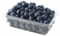 Fresh Blueberries 18 oz