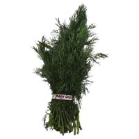 Baby Dill Bunch 1 oz