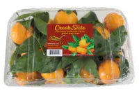Creekside® Mandarins with Stems and Leaves 4 lb