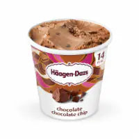 Haagen Dazs® Chocolate Chocolate Chip Ice Cream Pint