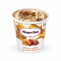 Haagen Dazs® Honey Salted Caramel Almond Ice Cream Pint