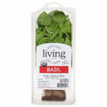 North Shore Living™ Basil 1 ct