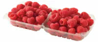 Fresh Red Raspberries 12oz