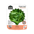 Gotham Greens® Green Leaf Lettuce 4.5 oz