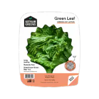 Gotham Greens® Green Leaf Lettuce 4.5 oz