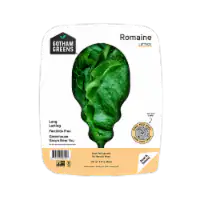 Gotham Greens® Romaine Lettuce 4.5 oz