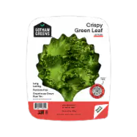 Gotham Greens® Crispy Green Leaf Lettuce 4.5 oz