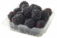 Fresh Blackberries