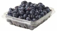 Fresh Blueberries