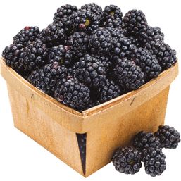 Organic Blackberries 5.6 oz