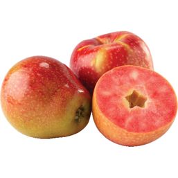 Lucy Rose Apple 1 each