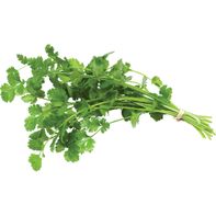 Organic Cilantro 1 bunch