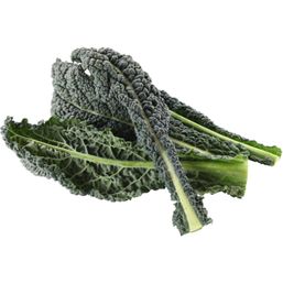 Organic Lacinato Kale 1 bunch