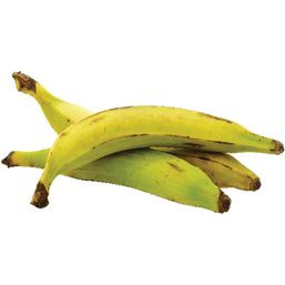 Plantain Banana 1 each