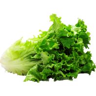 Green Leaf Lettuce 1 each