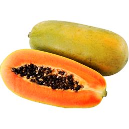 Organic Maradol Papaya 1ct