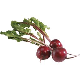 Organic Bunch Red Beets 1 bunch