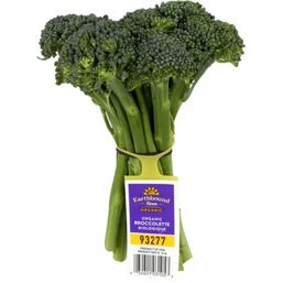 Organic Broccolette 1 bunch