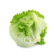 Organic Iceberg Lettuce 1 each
