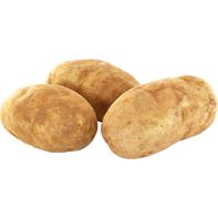 Russet Potato 1 each