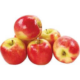 Pink Lady Apple 1 ct