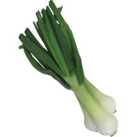 Vidalia Green Onion Bulb 1 each