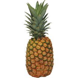 Fresh Pineapple 1 each