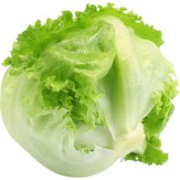 Iceberg Lettuce 1 each